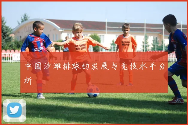 中国沙滩排球的发展与竞技水平分析